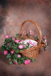 复活节篮子花卉幻想工作室套装插入独立客户