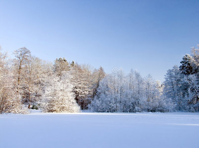 冬季雪景