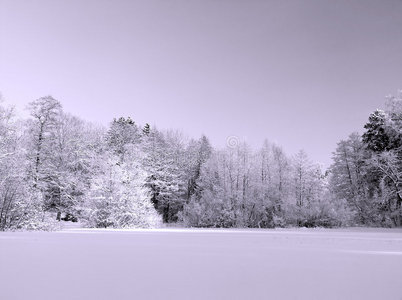 冬季雪景