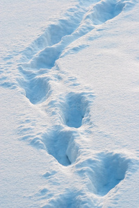 雪上的足迹