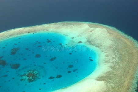 珊瑚礁的宋体视图。