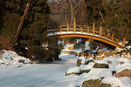 雪地花园图片