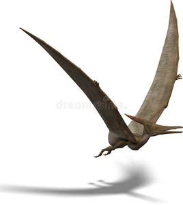 翼龙图片