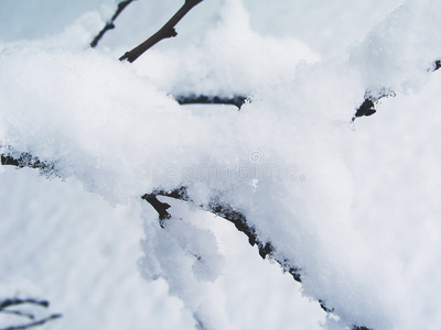 早午餐下雪4