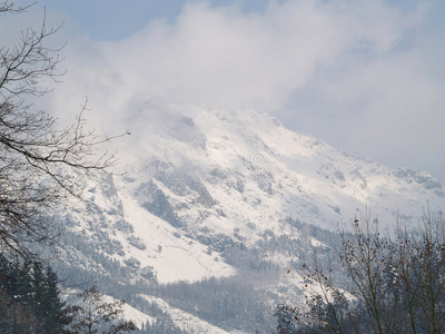 山上的雪