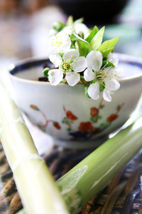 茶水静物