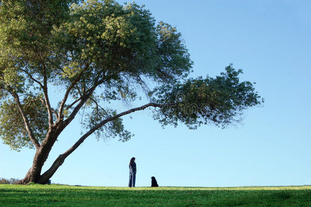下单独自在大树下照片