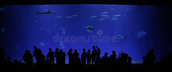 蒙特利湾水族馆