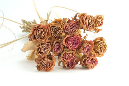 干的花束的玫瑰图片