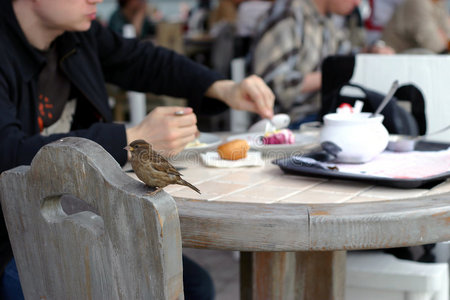 咖啡馆麻雀