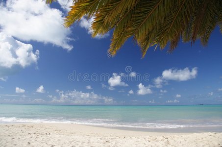 加勒比海海滩