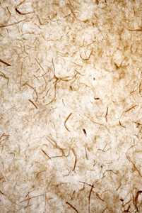 草纸图片-草纸素材-草纸插画-摄图新视界