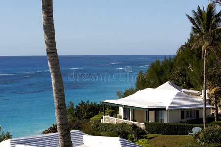 百慕大的家园图片