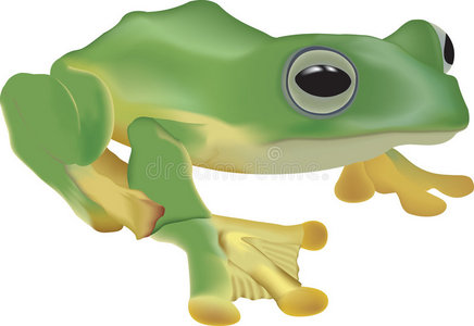 青蛙插图坐在叶子上的绿青蛙青蛙角色图标青蛙王卡通黑色剪影痕迹和