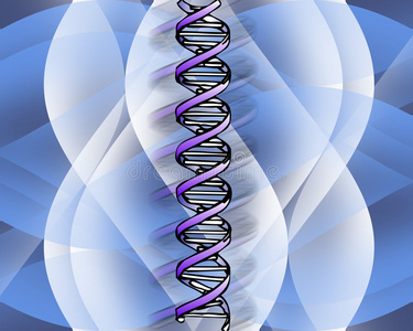 dna