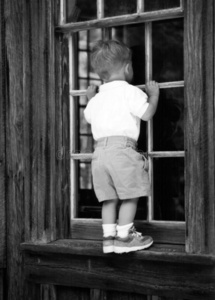 窗户里的男孩