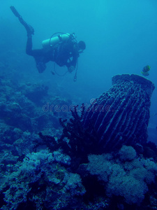 菲律宾珊瑚礁潜水者