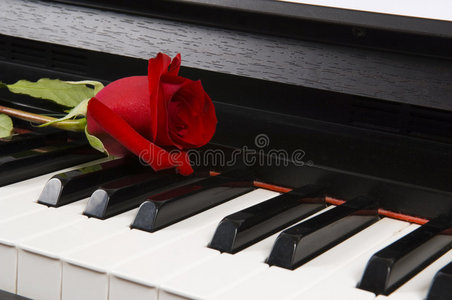 钢琴上的玫瑰单乐谱