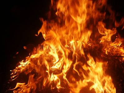 火的花瓣图片