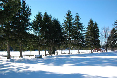 冬季雪景