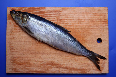 洋葱, 肉桂棒在白色的鲱鱼与鲱鱼三明治, 俄罗斯对假期的民族食魏红