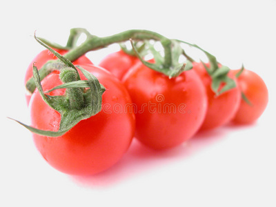 白底西红柿