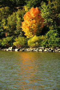 纽约哈德逊河谷哈德逊河景观图片