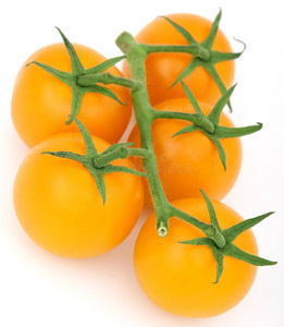绿柄健康黄樱桃番茄图片