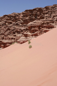 红色沙丘与沙漠景观