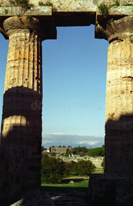 paestum 2柱