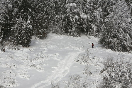 男孩和雪橇