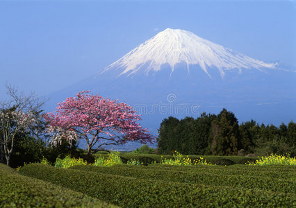 富士一号山