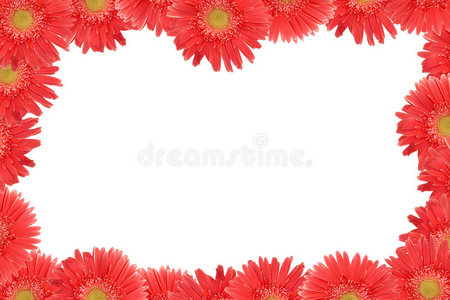 粉红色雏菊框架