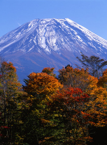 秋天的富士山