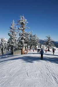 新雪滑雪场