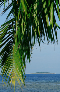 闲暇 旅游业 公司 棉兰老岛 菲律宾 旅行 地平线 旅行者