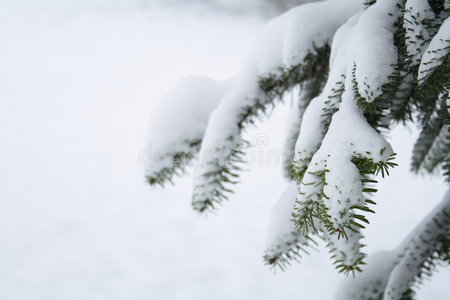 雪景