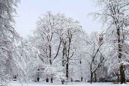 雪景