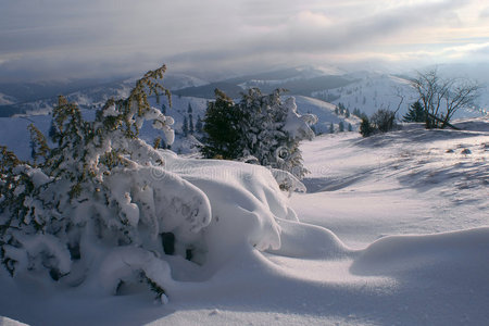 早晨雪景