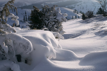 雪景