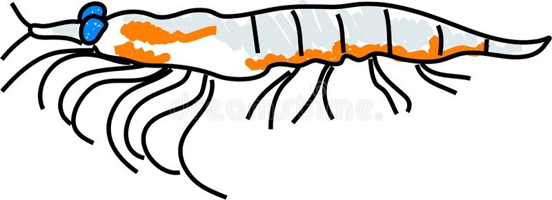 磷虾简笔画图片