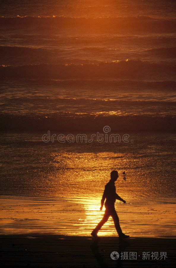 日落时在海滩上行走的人的剪影