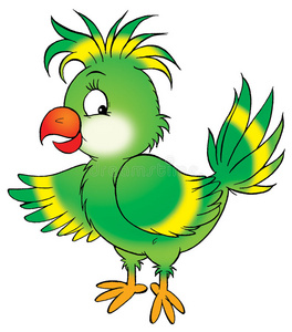 凤头鹦鹉鹦鹉卡通插图图片