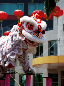 中国舞狮水墨画的中国舞狮中国新年舞狮矢量图案中国舞狮饰品中国农历