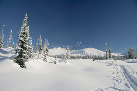 山中的冬季森林，滑雪道