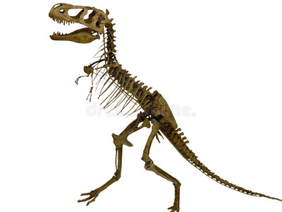 恐龙考古恐龙骨架照片