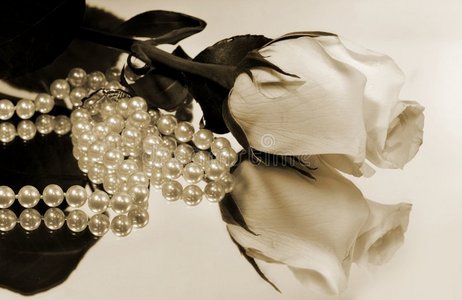 白玫瑰珍珠倒影照片