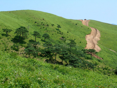 极端道路