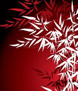 竹叶甘蓝图片