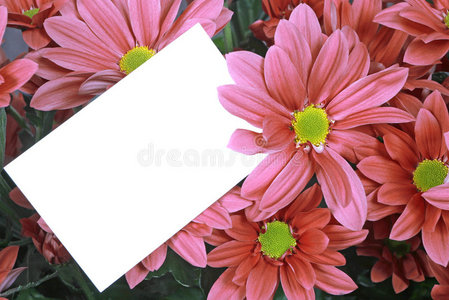 礼品卡和粉色花朵